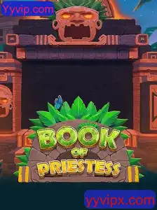 Explorando o Fascinante Mundo de BookOfPriestess